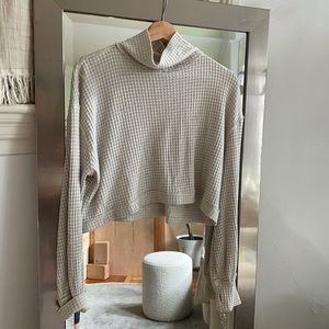 Small Free People Turtle Neck (cropped)